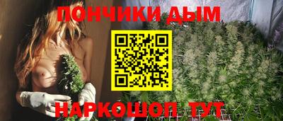 метадон Новодвинск