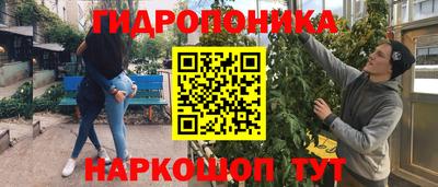 метадон Новодвинск