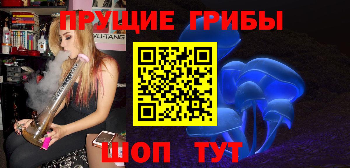 Галлюциногенные грибы GOLDEN TEACHER Прокопьевск